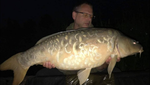 A carp from Jonchery, Sep 2018