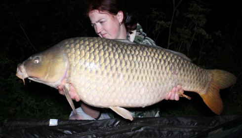 A carp from Jonchery, Sep 2017