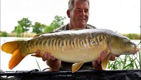 A carp from Jonchery, Jun 2019