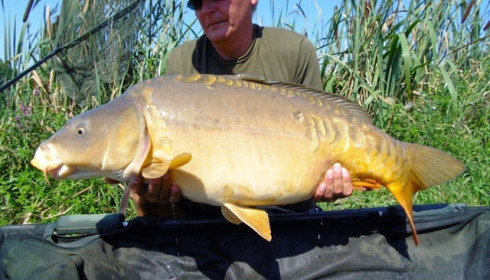 A carp from Jonchery, Jul 2014
