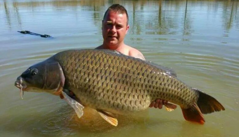 A 62 lb 6 oz carp from Jonchery, Dennis Van Herp , Apr 2015
