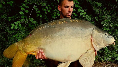 A carp from Jonchery, Jul 2017