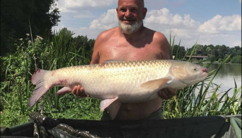 A carp from Jonchery, Jul 2018