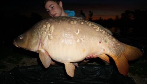 A carp from Jonchery, Oct 2014