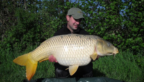 A carp from Jonchery, Swim 4, Apr 2014