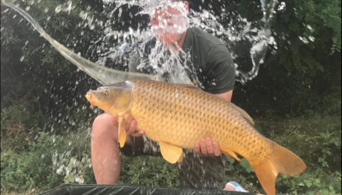 A carp from Jonchery, Jul 2019