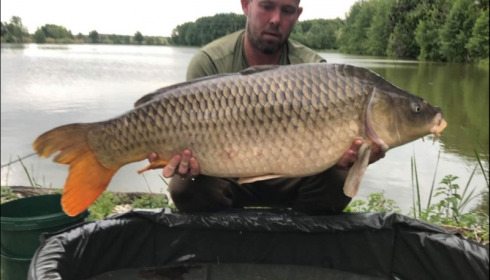 A carp from Jonchery, Jun 2019
