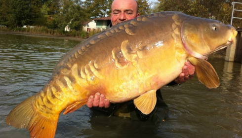 A carp from Jonchery, Nov 2012