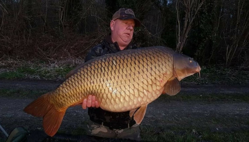 A carp from Jonchery, Apr 2018
