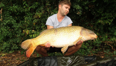 A carp from Jonchery, Aug 2016