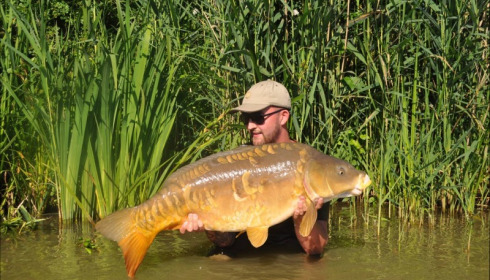 A carp from Jonchery, Jun 2018