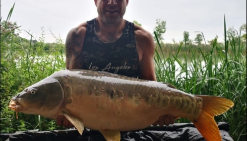 A carp from Jonchery, Aug 2019