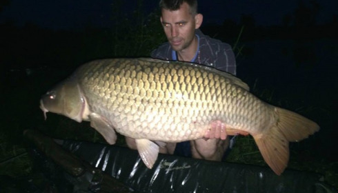 A carp from Jonchery, Jul 2014