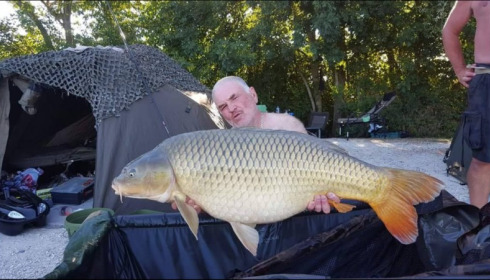 A carp from Jonchery, Aug 2018