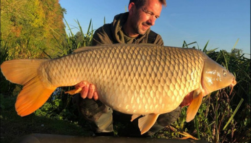 A carp from Jonchery, Oct 2018