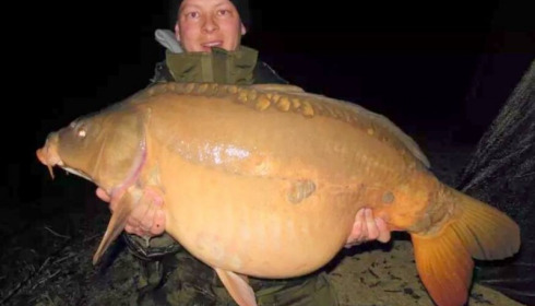 A carp from Jonchery, Devlin, Apr 2015