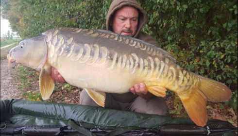A carp from Jonchery, Oct 2018