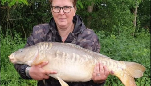 A carp from Jonchery, May 2019