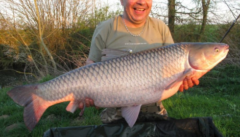 A carp from Jonchery, Apr 2014