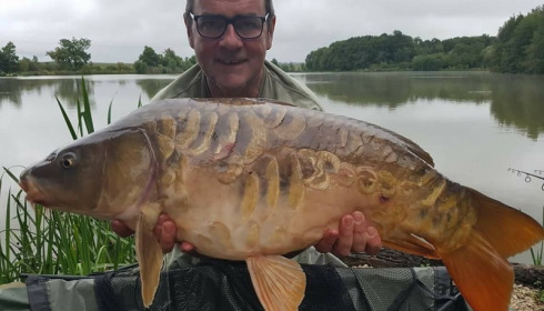A carp from Jonchery, Aug 2017