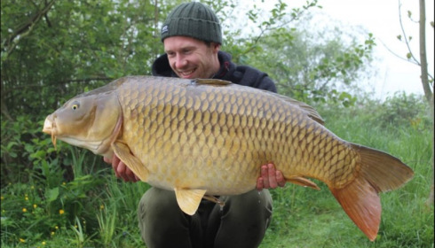 A carp from Jonchery, May 2019