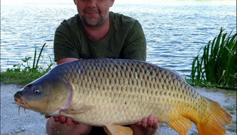 A carp from Jonchery, Jul 2019