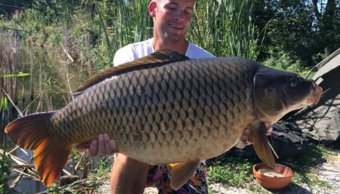 A carp from Jonchery, Sep 2014