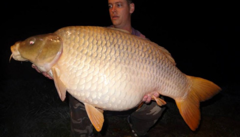 A carp from Jonchery, Nov 2014