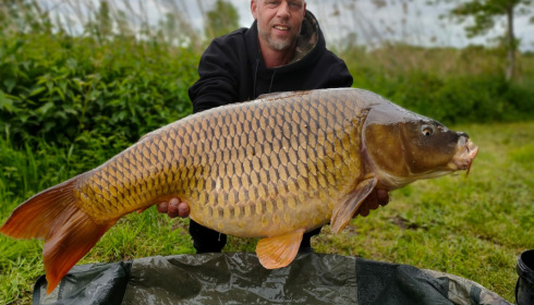A carp from Jonchery, May 2021
