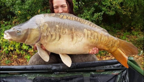 A carp from Jonchery, Sep 2019