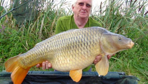 A carp from Jonchery, Jul 2014