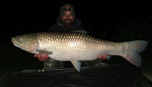 A 49 lb grass carp from Jonchery, Craig Cicero, Sep 2019