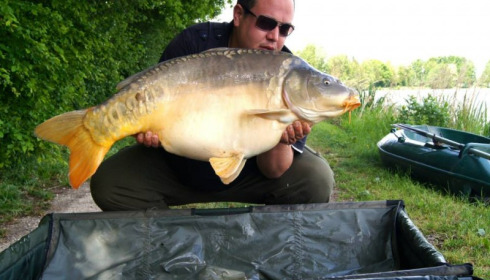A carp from Jonchery, May 2014