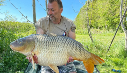 A carp from Jonchery, May 2022