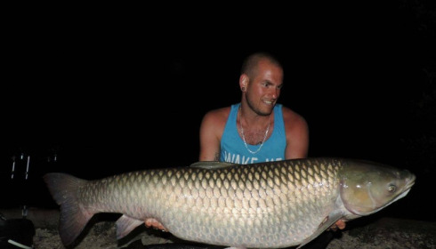 A carp from Jonchery, Jun 2017
