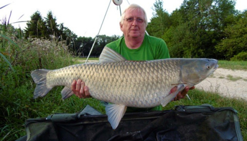 A carp from Jonchery, Jul 2014