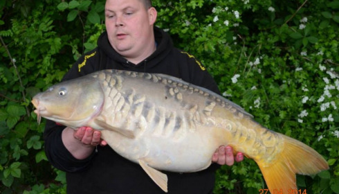 A carp from Jonchery, Swim 6, May 2014
