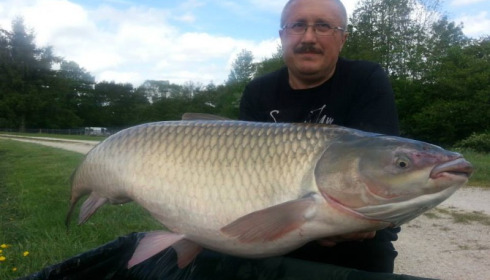 A 54 lb grass carp from Jonchery, Swim 2, May 2014
