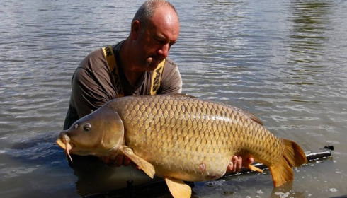 A carp from Jonchery, May 2015