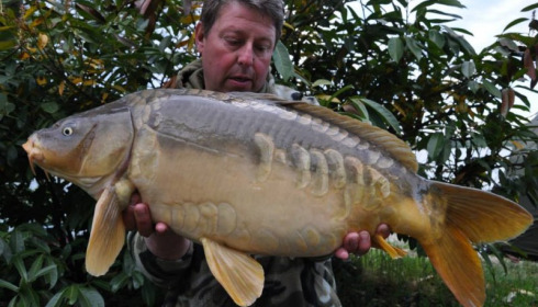 A carp from Jonchery, Swim 1, May 2014