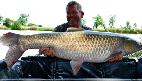 A carp from Jonchery, Jun 2019