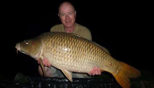 A carp from Jonchery, May 2014