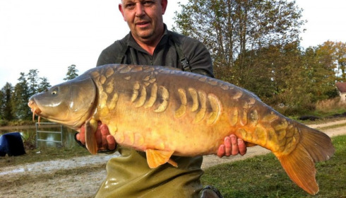 A carp from Jonchery, Nov 2012