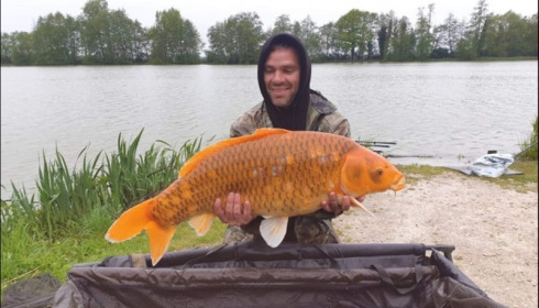 A carp from Jonchery, May 2019