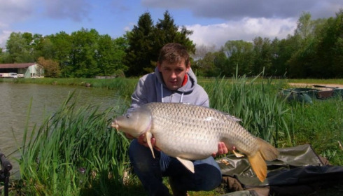 A carp from Jonchery, May 2013