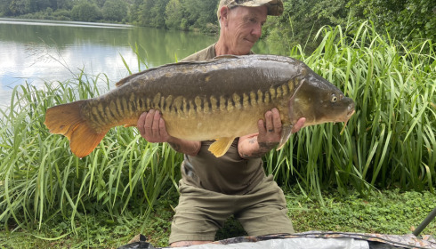 A 36 lb fish from Jonchery, Mirror carp, Jul 2023