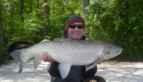 A 35 lb grass carp from Jonchery, Jason Fox, Apr 2017