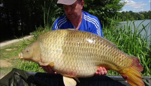 A 55 lb 8 oz carp from Jonchery, Andrew Buckley, Aug 2019