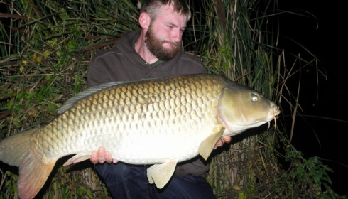A carp from Jonchery, Oct 2016