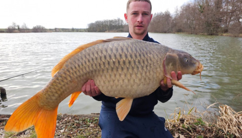 A carp from Jonchery, Louis Gee, Mar 2023
